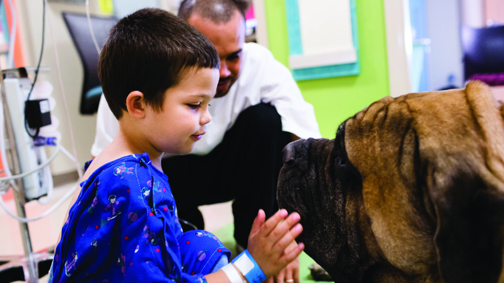 A child in a hospital gown pets a large dog.