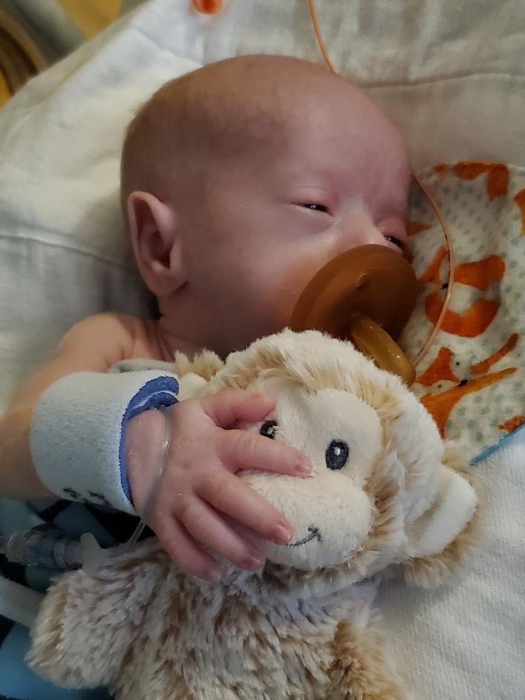 Rockwell sleeps as an infant. He holds onto his stuffed animal.